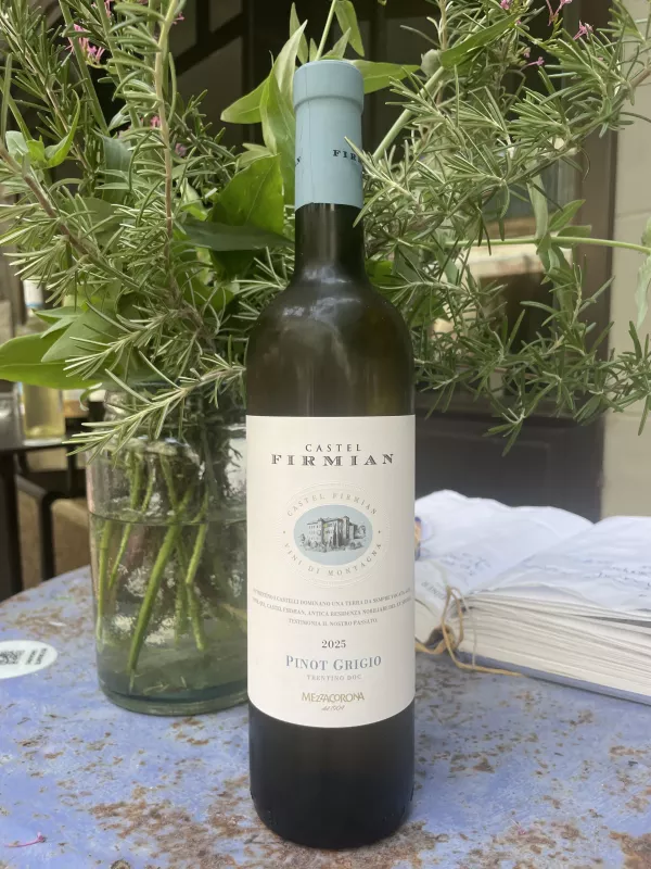 Pinot Grigio