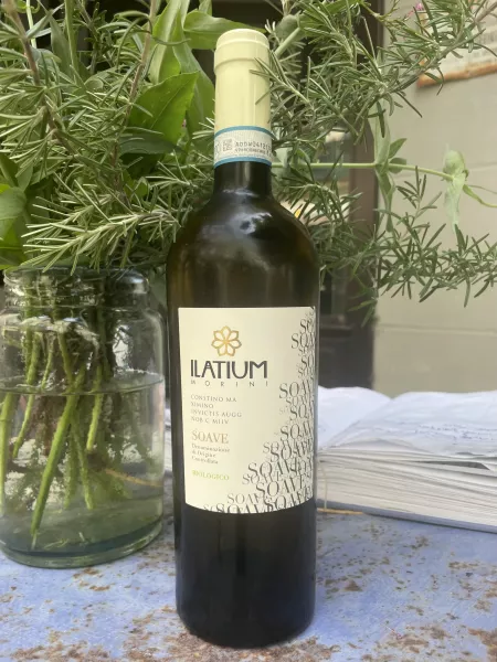 Ilatium, Soave Morini