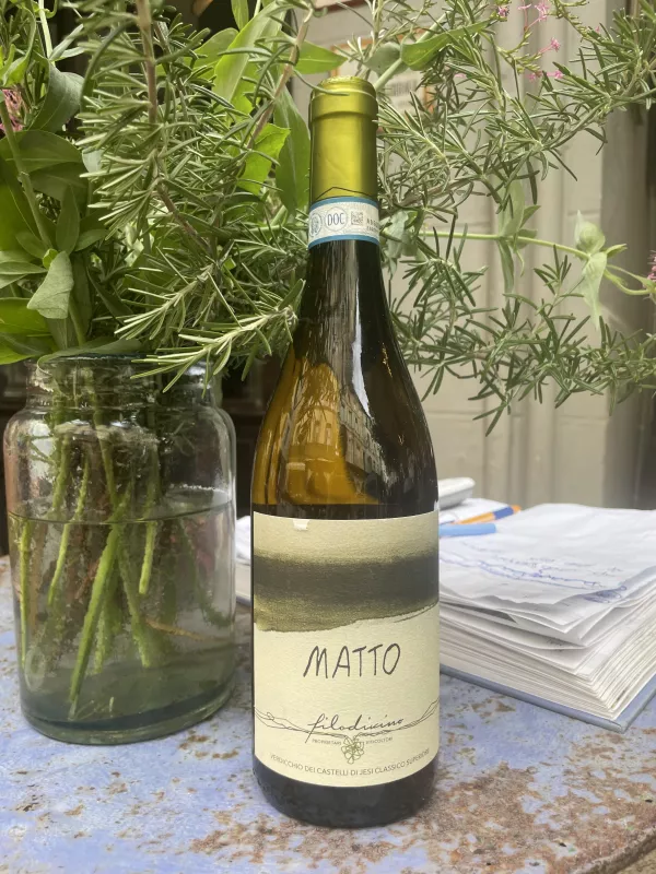 Matto