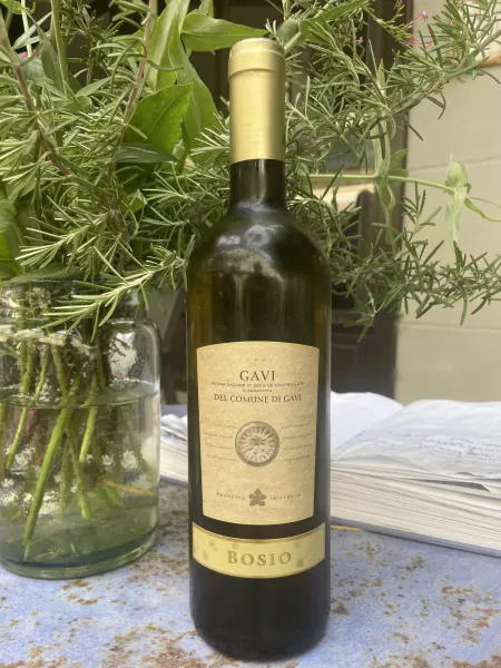 Gavi