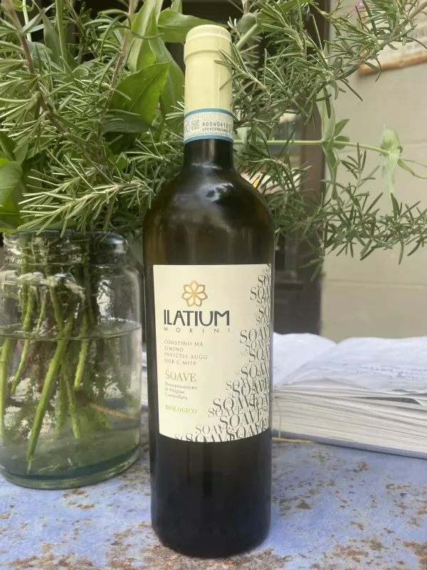 Ilatium, Soave Morini