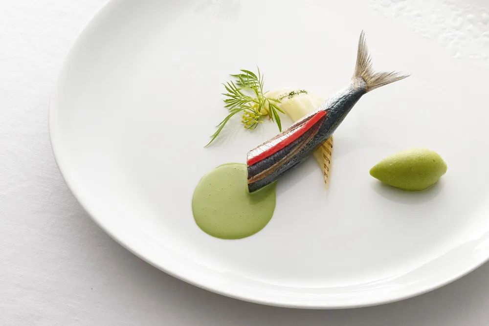 Sardine, Velours d'Eden
