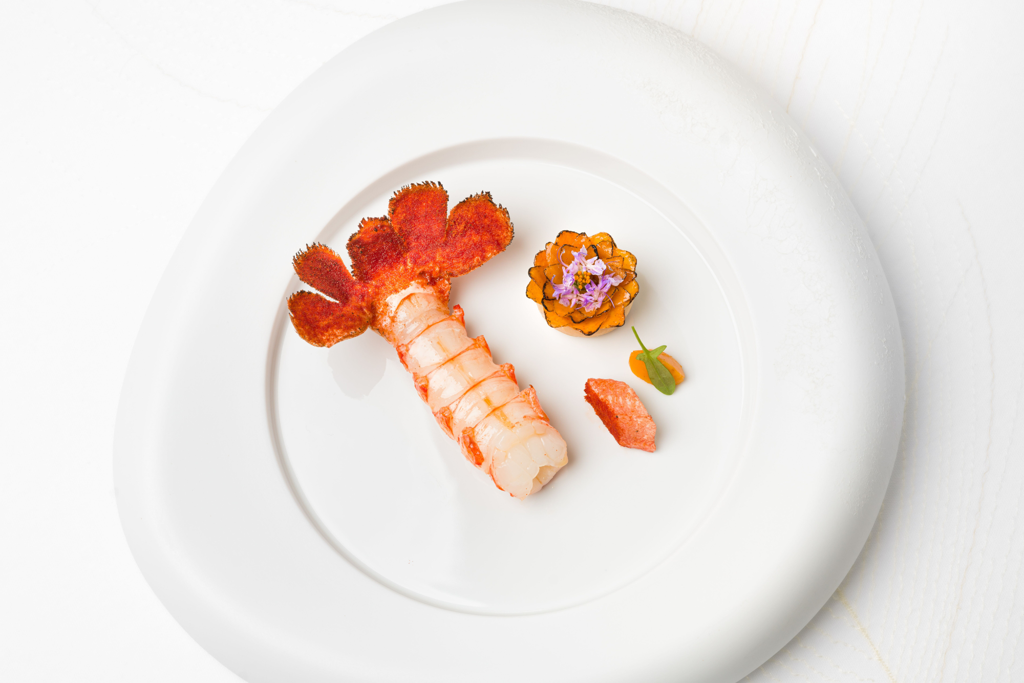Langoustine, sabayon de crustacés