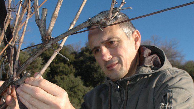 Stéphane Castaing